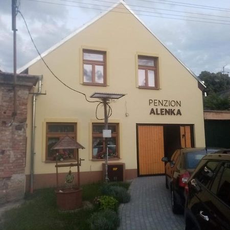 Penzion Alenka Valtice Bagian luar foto