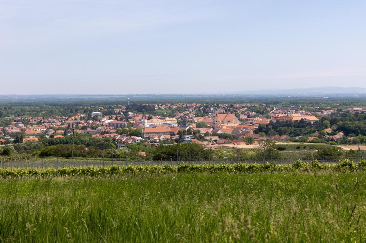 Penzion Alenka Valtice Bagian luar foto
