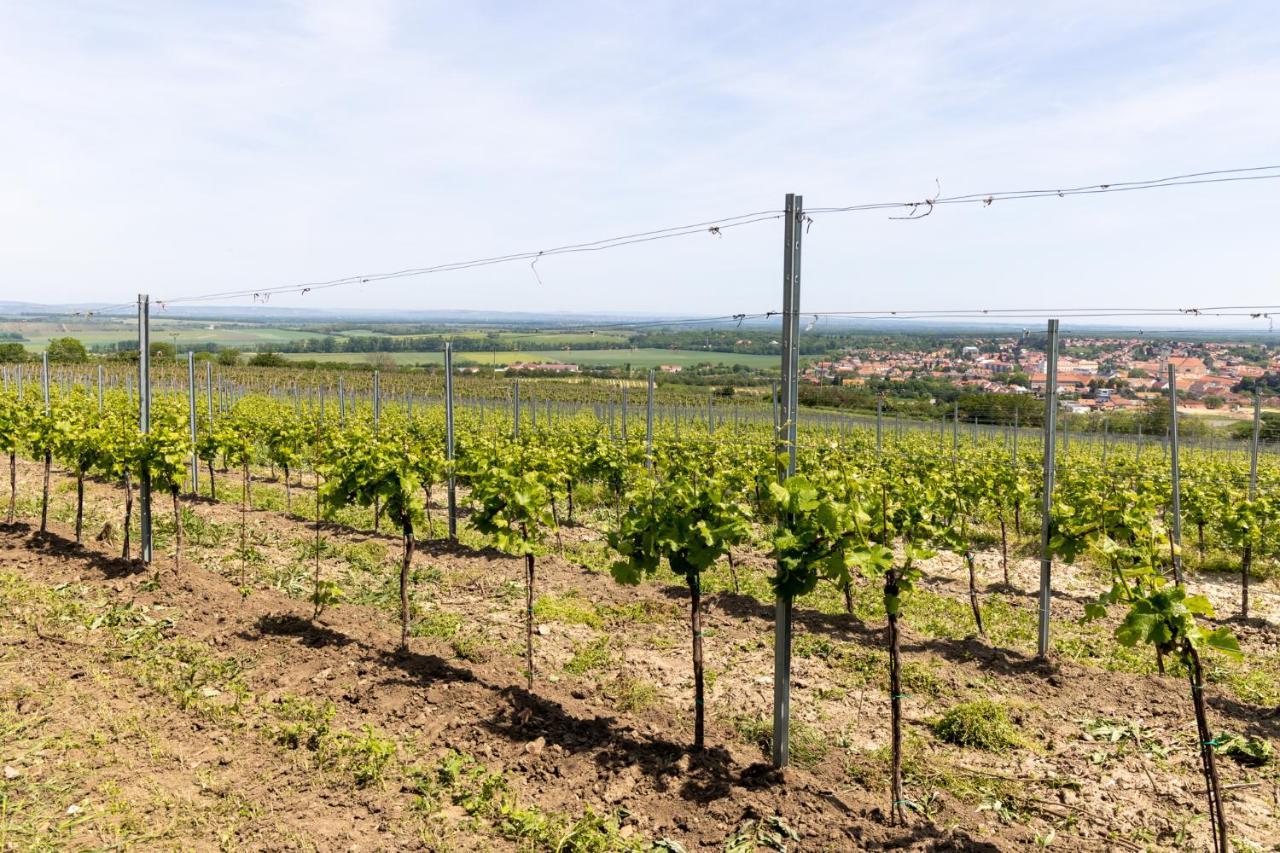 Penzion Alenka Valtice Bagian luar foto